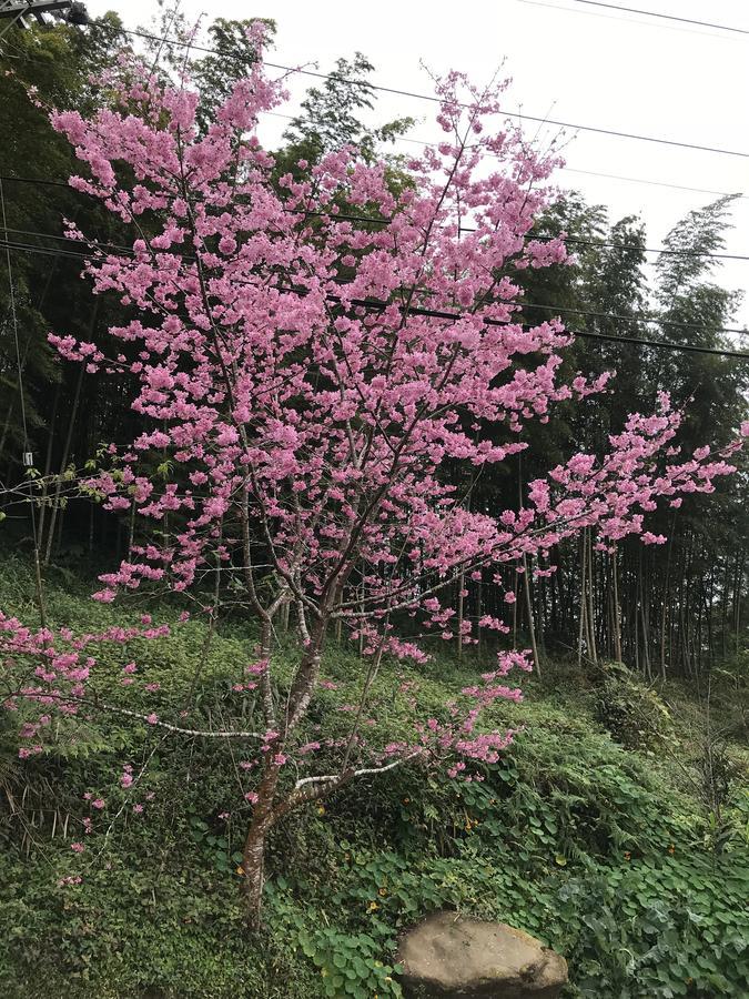 Zhu Yuan Homestay Fenchihu Buitenkant foto